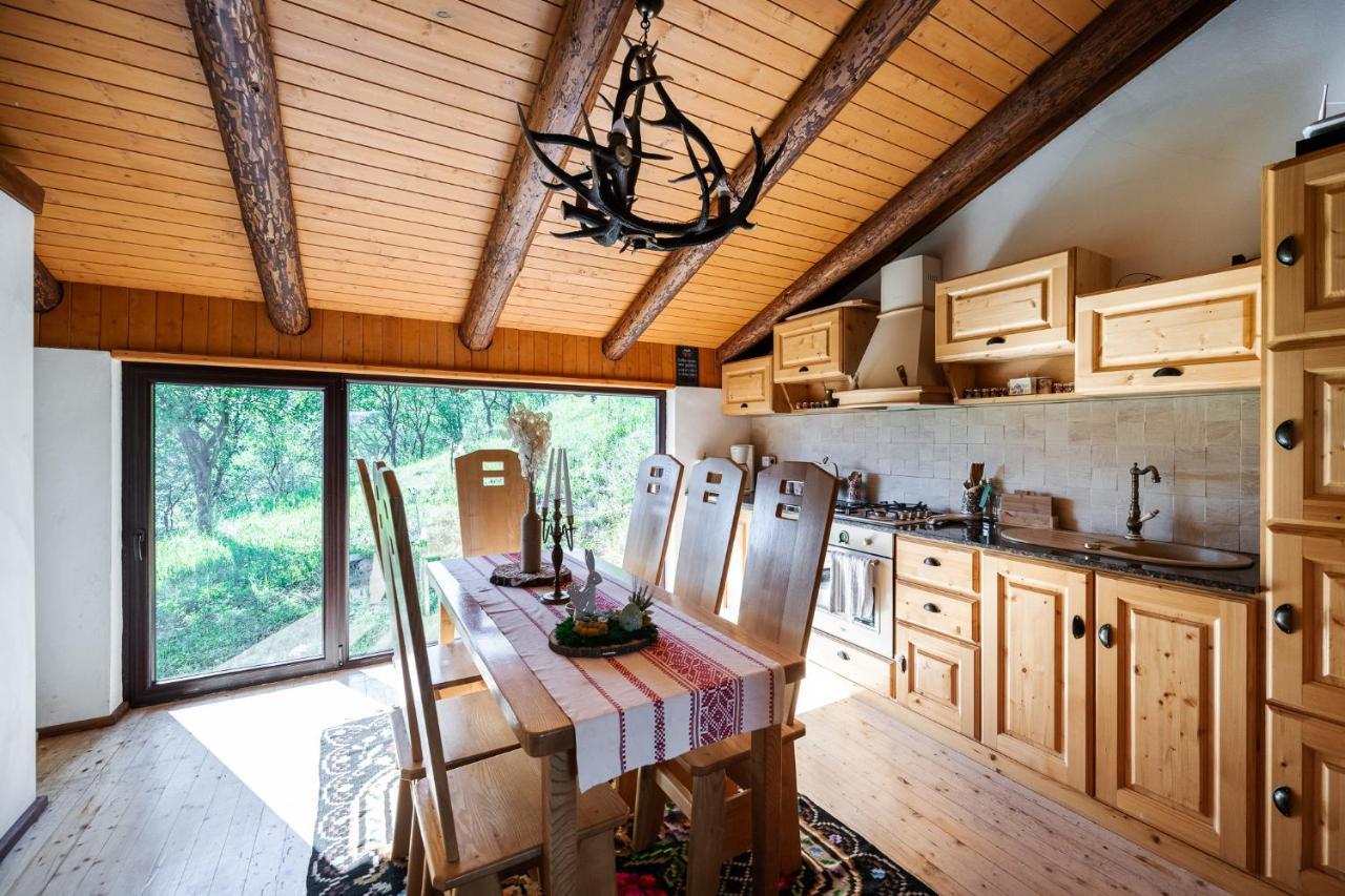 Cabana Din Revier Viseu de Jos Exterior foto